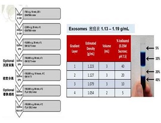 Exosome：功能那么強(qiáng)，提取并不難