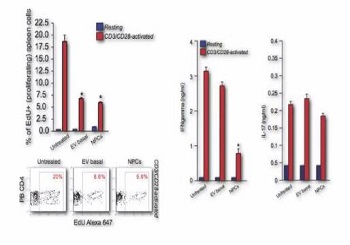 Exosome：揭秘干細(xì)胞與免疫細(xì)胞如何“對話”