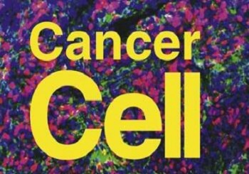 外泌體LncRNA促進腫瘤細胞耐藥性
