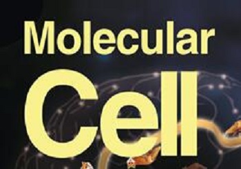 腫瘤缺氧環(huán)境促進外泌體癌癥LncRNA高表達